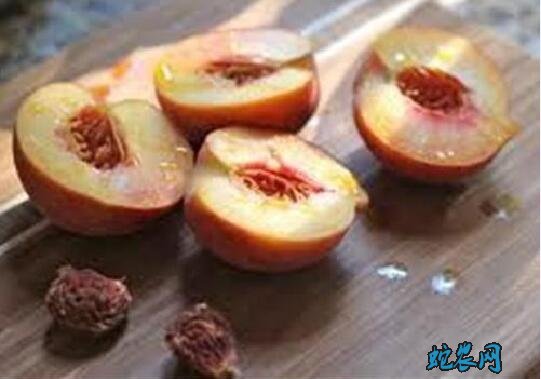 怎么种桃子?吃完的桃子怎么种?