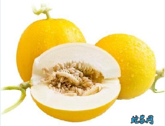 甜瓜最好的品种、中国10种最甜的甜瓜品种图片