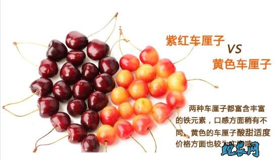 大樱桃、大樱桃和车厘子的区别?