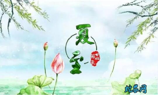 2020年夏至是几月几日?夏至的风俗和禁忌有哪些?
