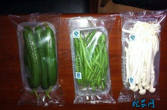 蔬菜怎么保鲜?蔬菜采摘后防止失水的措施!