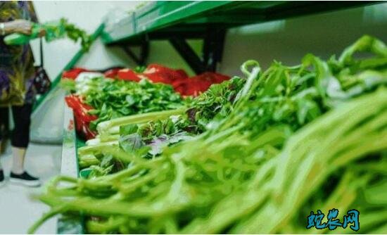 蔬菜怎么保鲜?蔬菜采摘后防止失水的措施!