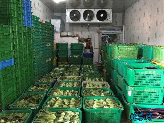蔬菜储藏技术、菜花冬藏的四个方法!