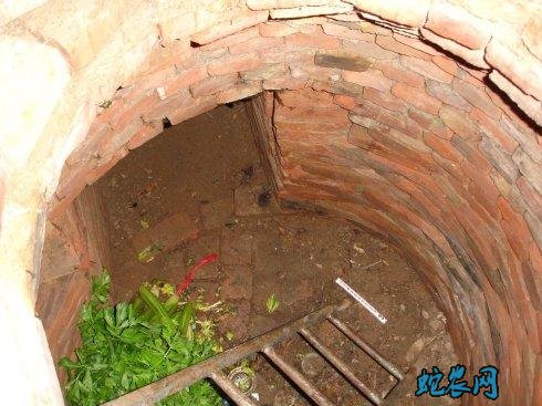 蔬菜储藏技术、菜花冬藏的四个方法!