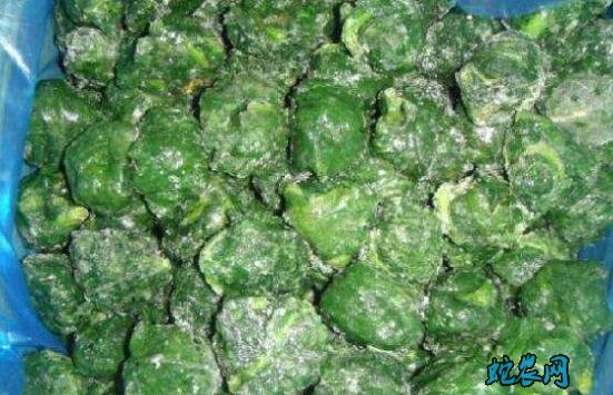 菠菜怎么贮藏?三种冻藏菠菜贮藏技术分享!