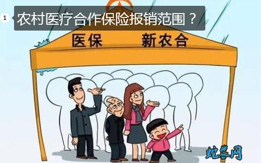 农村医疗合作保险报销范围和不准报销范围?