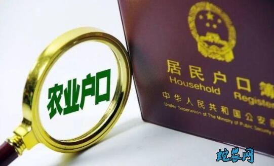 2020年农村现在有什么政策?