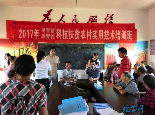 2020年农村现在有什么政策?