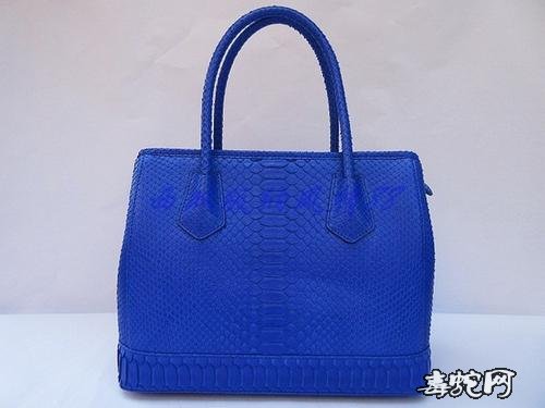 宝蓝色蛇皮女包、时尚宝蓝色蛇皮女包图片大全欣赏!