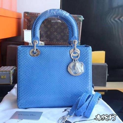 宝蓝色蛇皮女包、时尚宝蓝色蛇皮女包图片大全欣赏!