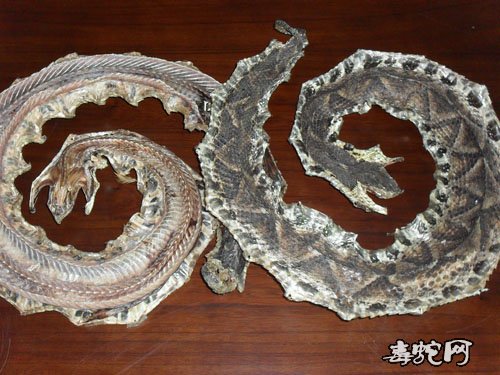 五步蛇干的药用价值?有什么功效?