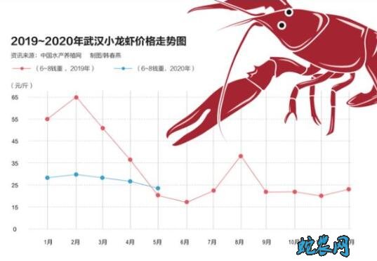 小龙虾遭遇弃养潮!产大于求、吃货们也不太买账!
