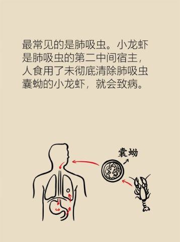 吃小龙虾吃出人命图片10