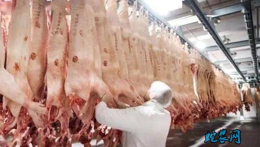综述:德国肉类加工企业频发新冠疫情引关注