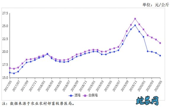 2020年5月禽肉供需形势分析月报