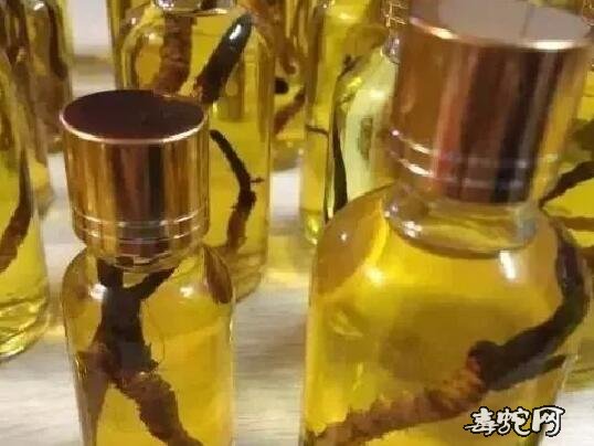 虫草蛇鞭酒、蛇鞭虫草酒的制作方法