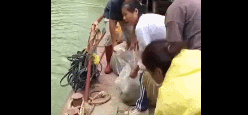 三岔湖视频拍摄到有人放蛇？官方辟谣说是谣言！