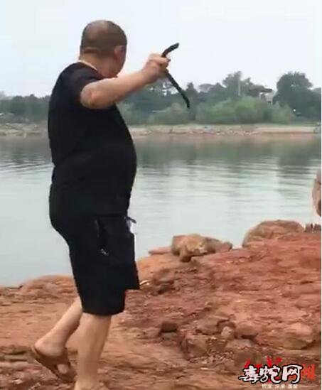 三岔湖视频拍摄到有人放蛇？官方辟谣说是谣言！