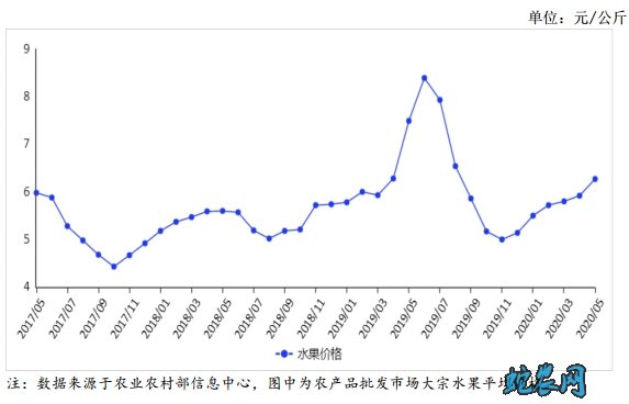 2020年5月水果供需形势分析月报