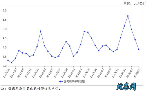 2020年5月蔬菜供需形势分析月报