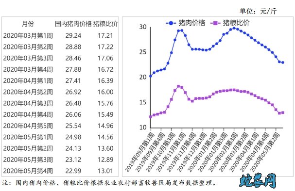 2020年5月猪肉供需形势分析月报