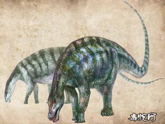 揭秘1954年宁夏发现恐龙类物种！看看究竟发生了什么？