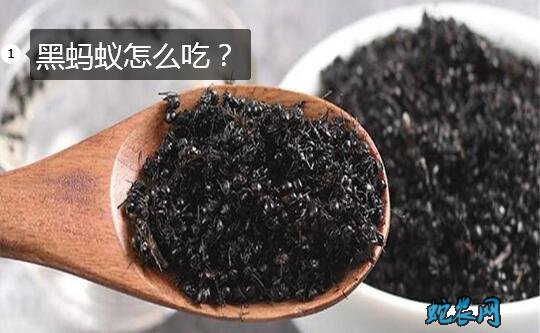 黑蚂蚁怎么吃?黑蚂蚁的吃法有哪些?