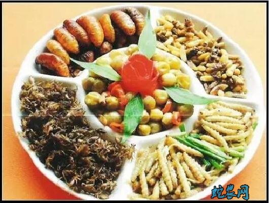 黑蚂蚁怎么吃?黑蚂蚁的吃法有哪些?