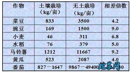 无土蔬菜栽培技术
