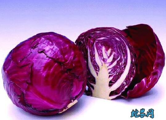甘蓝图片3