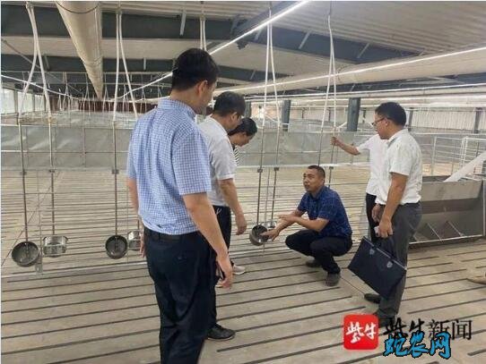 南京浦口区7月建大型养猪场!预计年出栏万头以上!