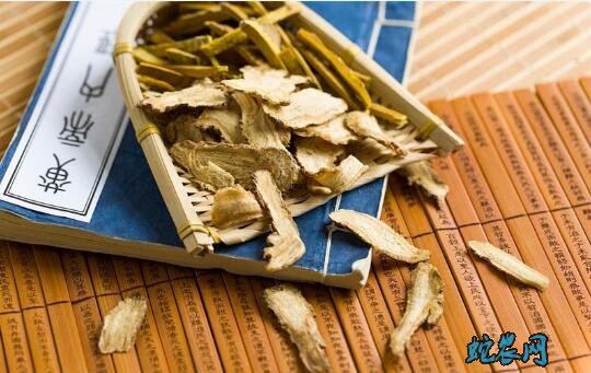 当归泡水、当归泡水一次放多少片?