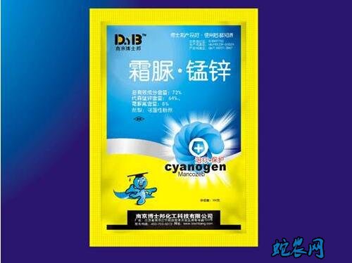 丹参的种植技术、丹参疫病的症状与防治方法?
