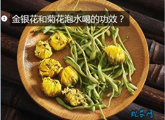 金银花和菊花泡水喝的功效?