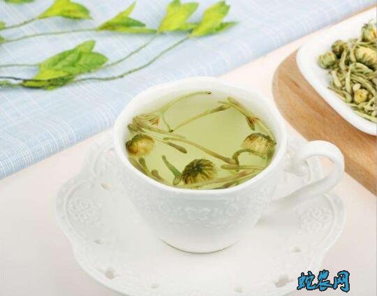 金银花和菊花泡水喝的功效?