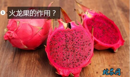 火龙果的作用?火龙果的功效与作用有哪些?