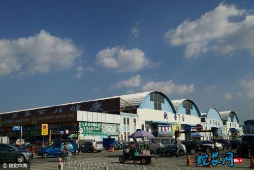 北京八里桥市场:6月29日蔬菜价格有所上涨!