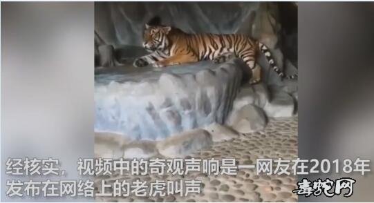 贵州秀水传出“龙叫”上万人爬上山围观!贵州回应山里有龙吟事件真相!
