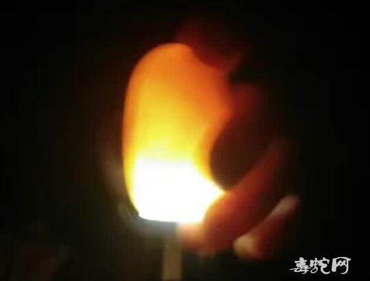 如何判断死精蛋和死坯胎?
