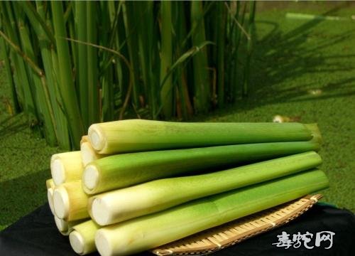 药膳食疗菜谱：茭白虾皮做法