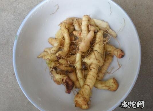 药膳食疗菜谱:黄精益气鹅脯肉做法