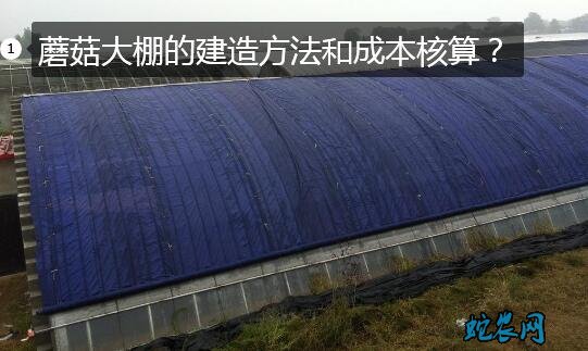 蘑菇大棚、蘑菇大棚的建造方法和成本核算?