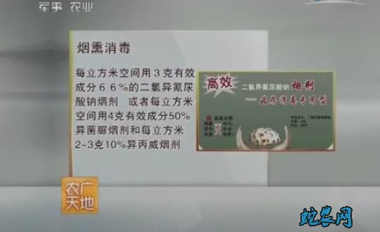 平菇种植技术讲解、夏季林地间作平菇栽培技术