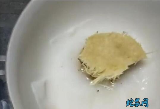 金针菇怎么种二次?