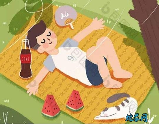 小暑的风俗