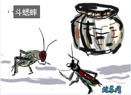大暑的风俗图