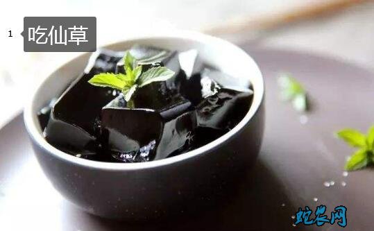 大暑的风俗图