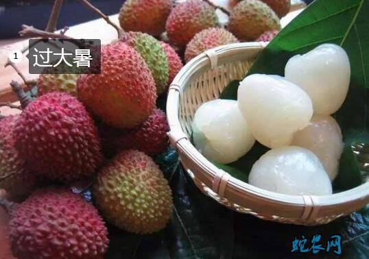 大暑的风俗图