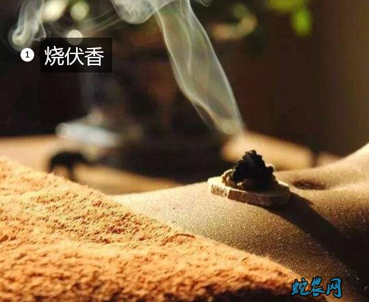大暑的风俗图