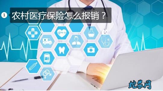 农村医疗保险怎么报销？